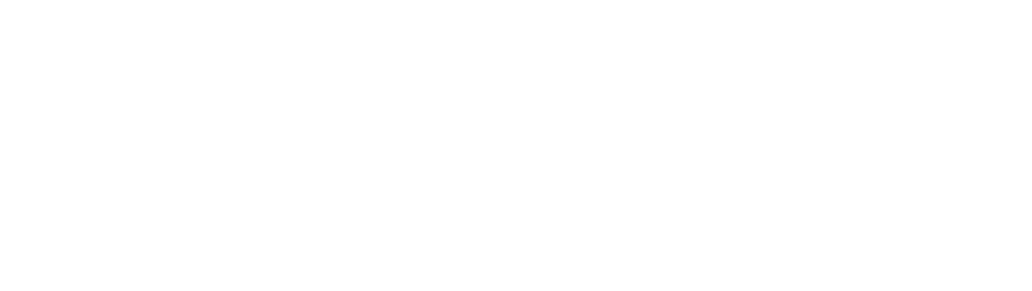 Ailex International